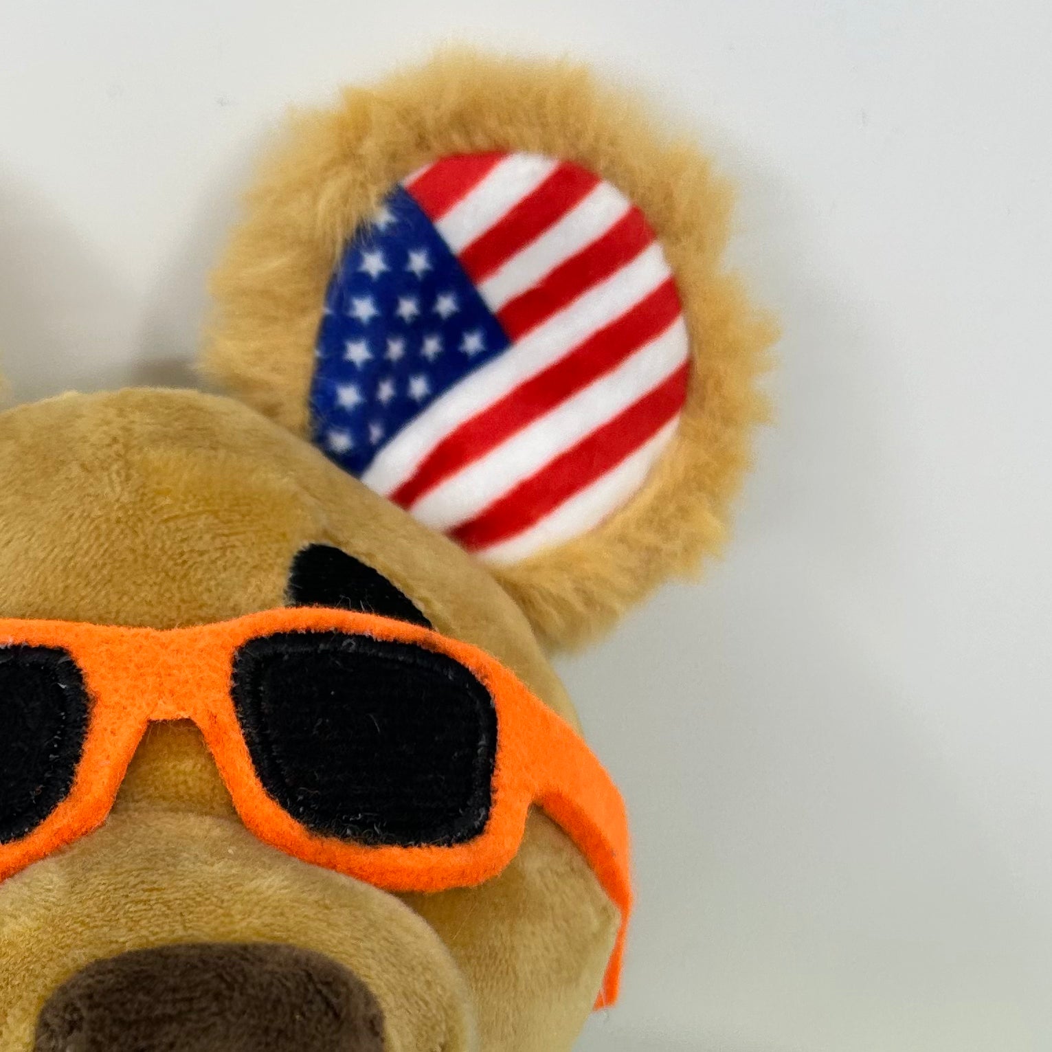 FLORIDA - Jim Bear & Gator