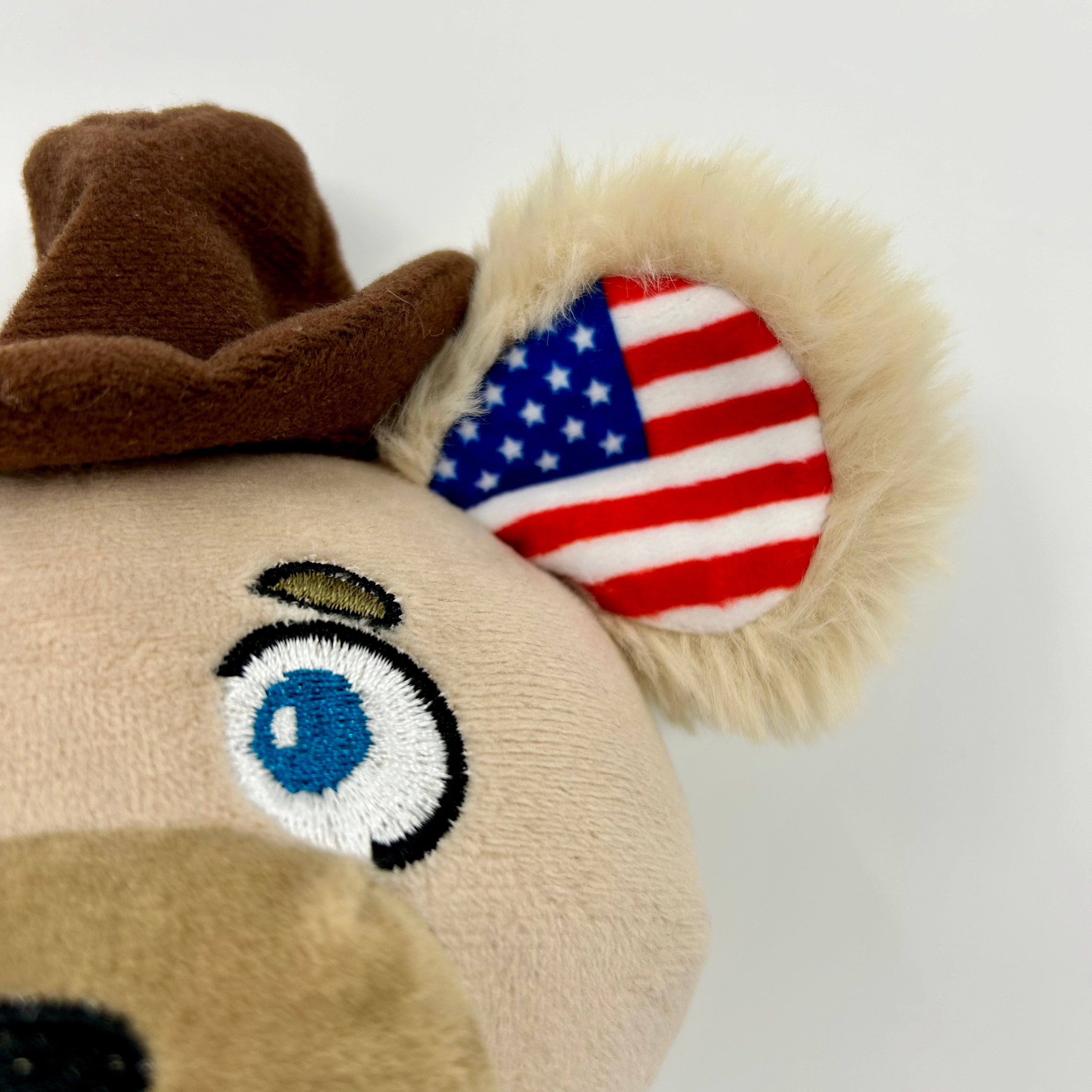 TEXAS - Buck the Bear