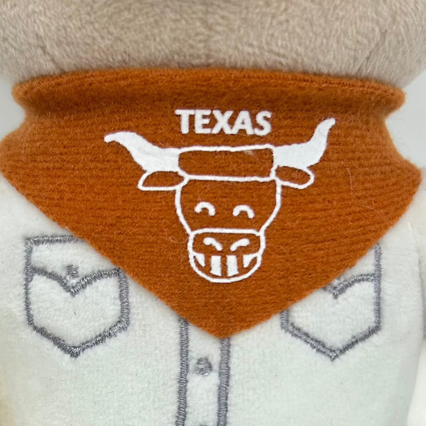 TEXAS - Buck the Bear