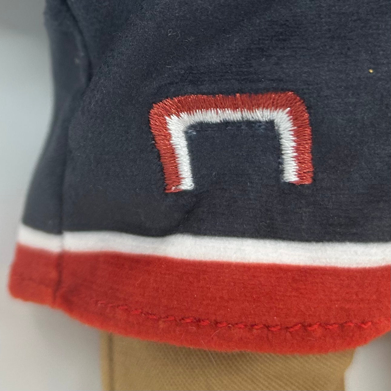 A Swiss Goat Traveling the USA