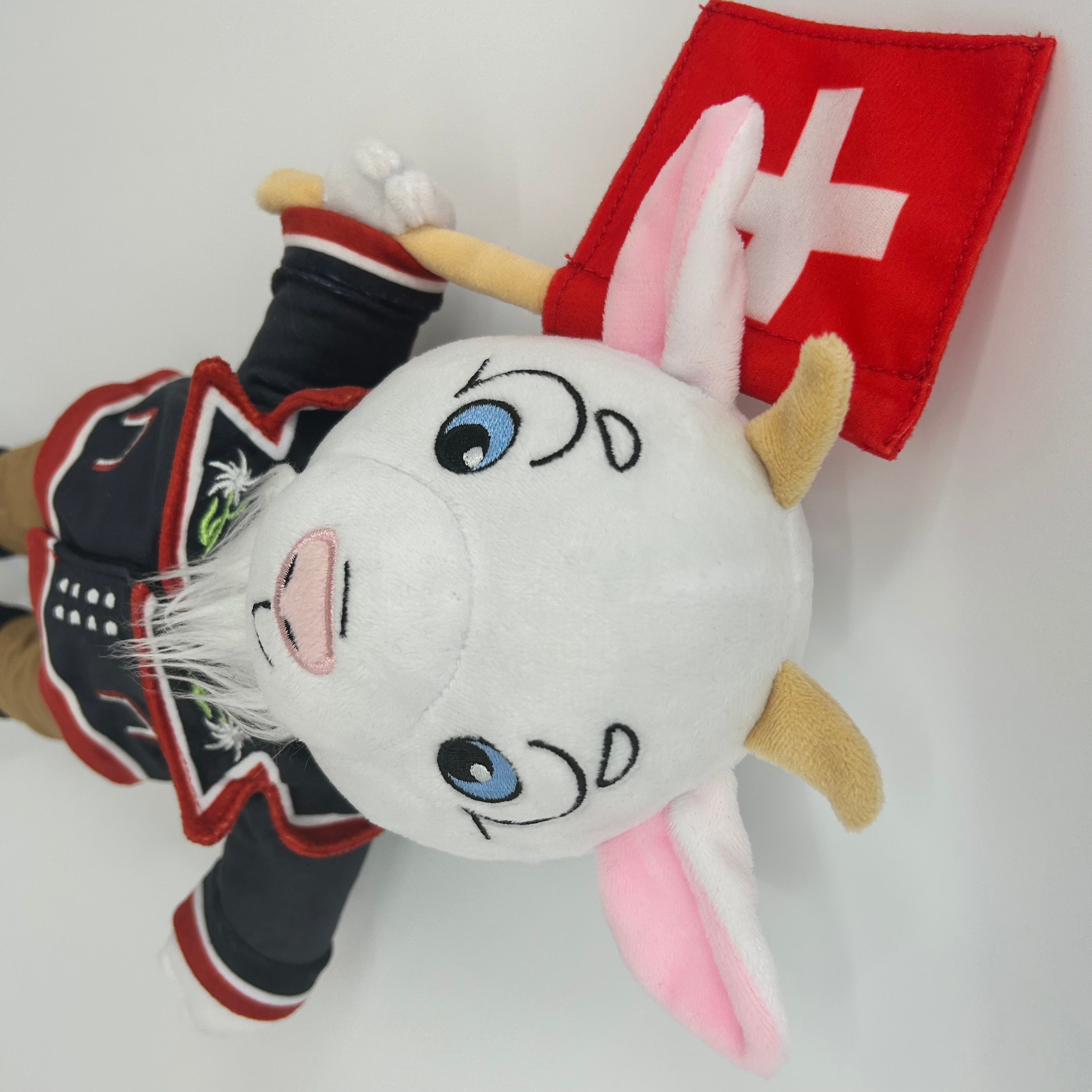 A Swiss Goat Traveling the USA